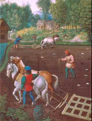Il s'agit d'une illustration datant du Moyen-âge représentant la vie agricole : des paysans sèment et labourent la terre avec une herse