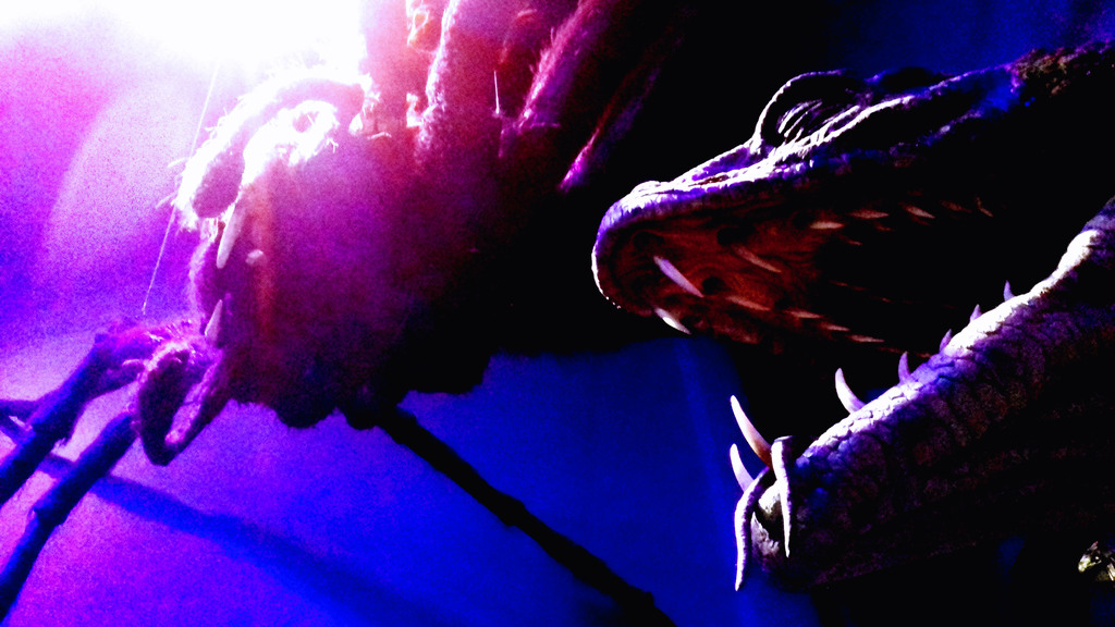 Photo du Basilic et d'une araignée