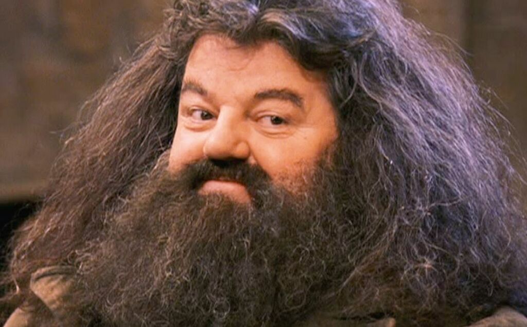 Hagrid, interprété par Robbie Coltrane, reconnaissable à ses cheveux et sa barbe brune et frisés