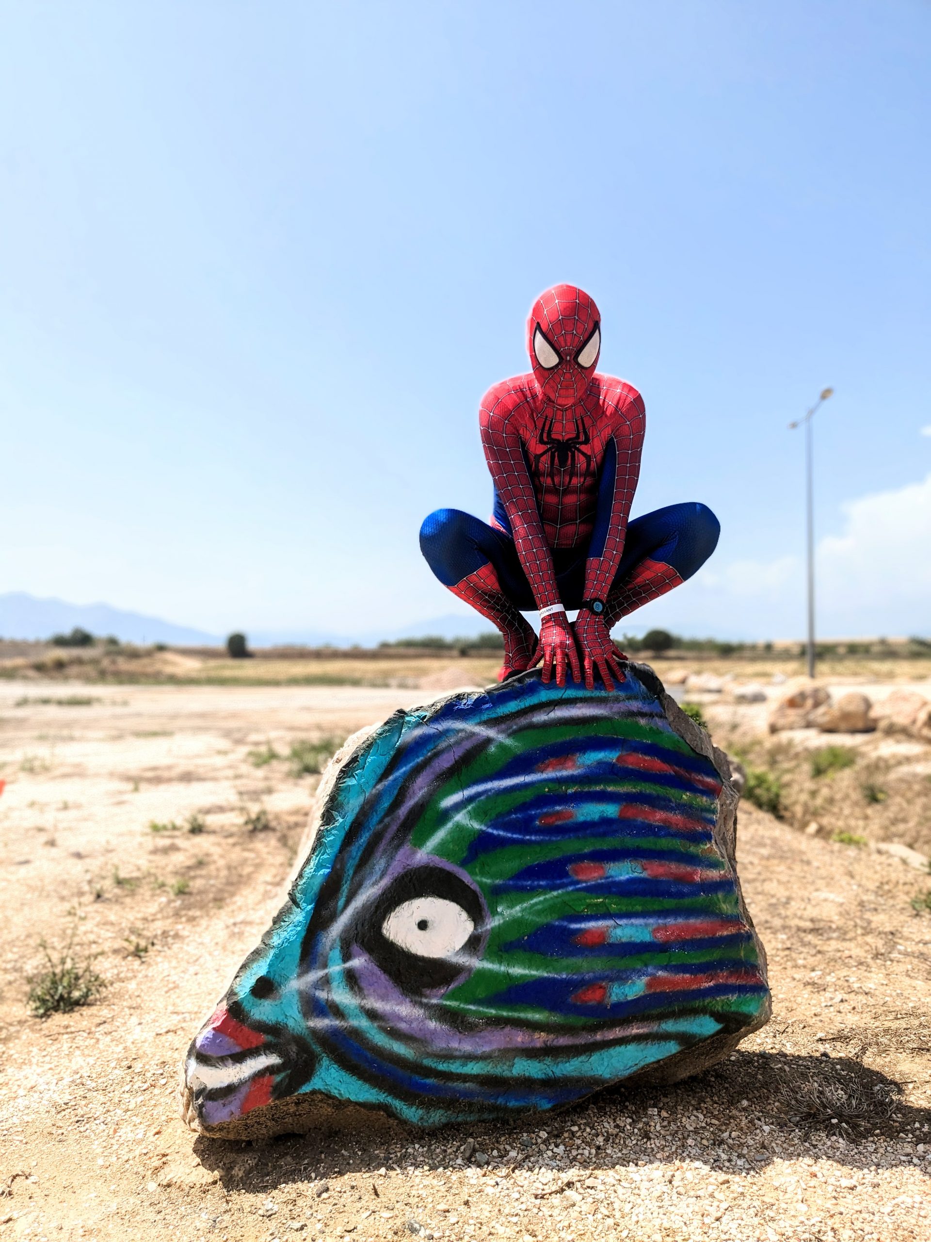 Spiderman sur un rocher peint 