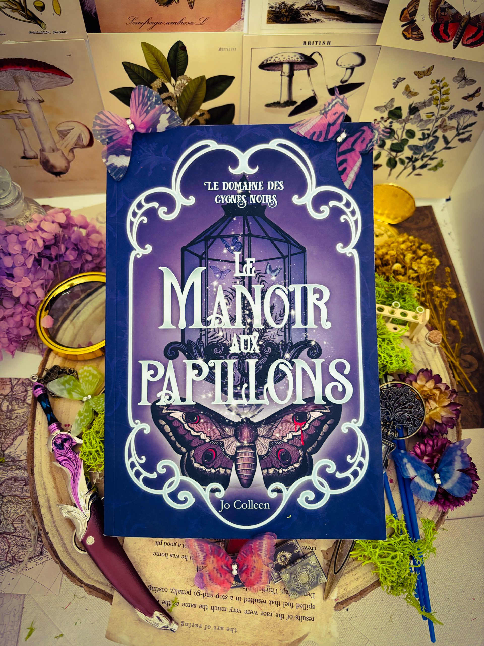 Photo de la couverture du livre Le manoir aux papillons de Jo Colleen, une romance gothique young adult