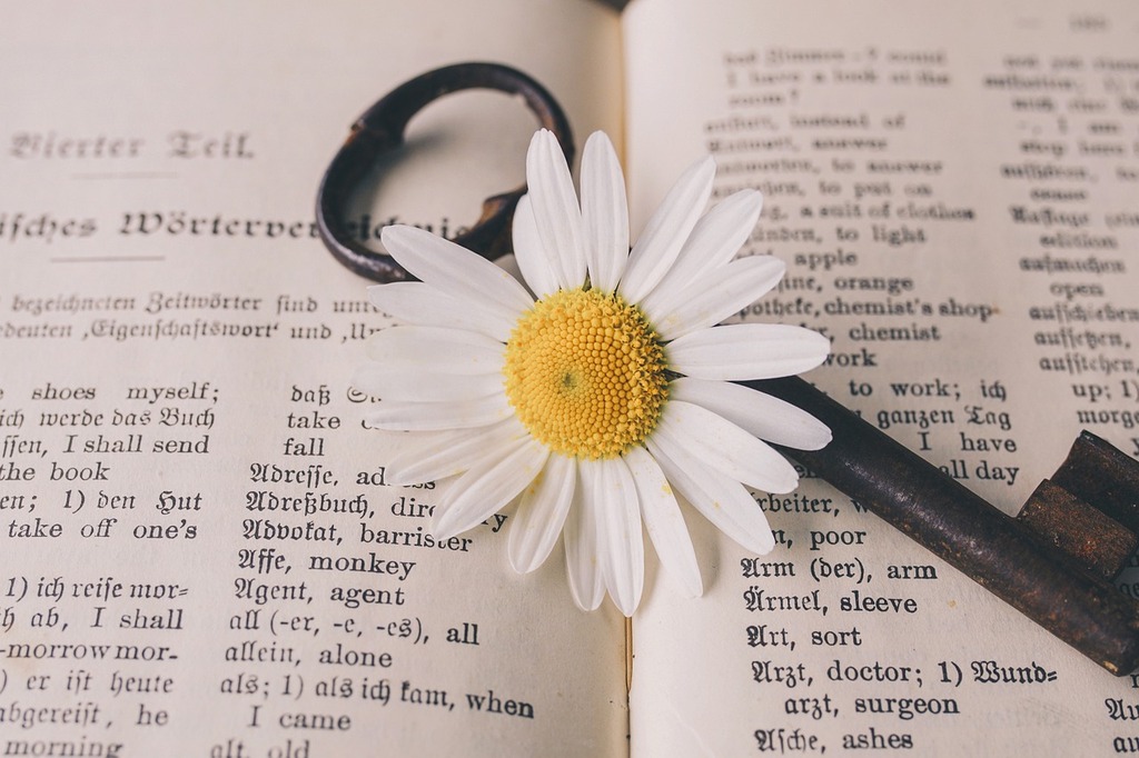 fleur sur une clef elle-même sur un livre