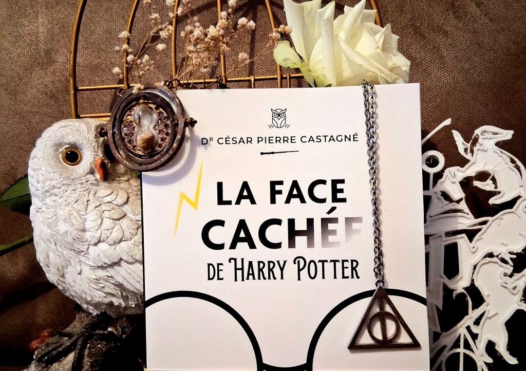 photo qui présente le livre la face cachée d'Harry Potter avec des fleurs, une fausse chouette, et des items d'Harry Potter