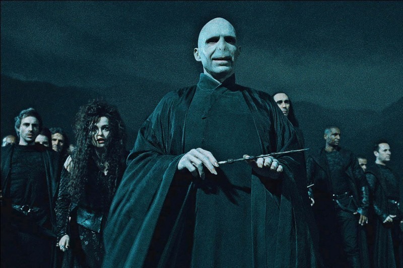 Les mangemorts, tous vêtus de noir, et rassemblés derrière leur chef, Voldemort.